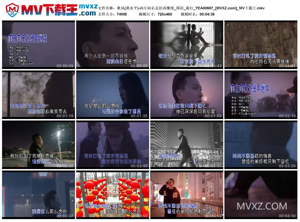 秋风(龚水平)-向左向右无法再继续_国语_流行_YEA00667